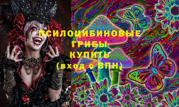 spice Белокуриха