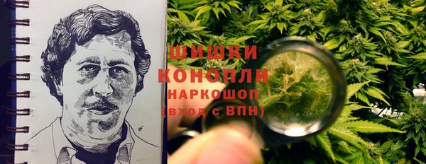 PSILOCYBIN Белоозёрский