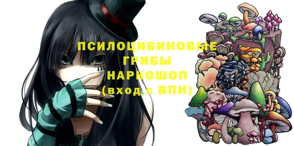 PSILOCYBIN Белоозёрский
