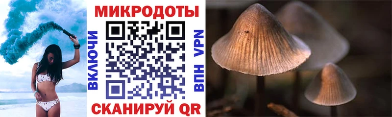 Галлюциногенные грибы мухоморы Горняк